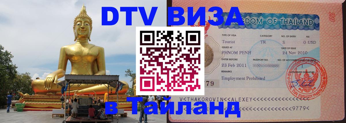 Оформление DTV визы под ключ: стоимость и тарифы, только загранпаспорт - 18.11.2025 